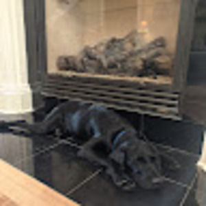 Meet your Posher, Sam